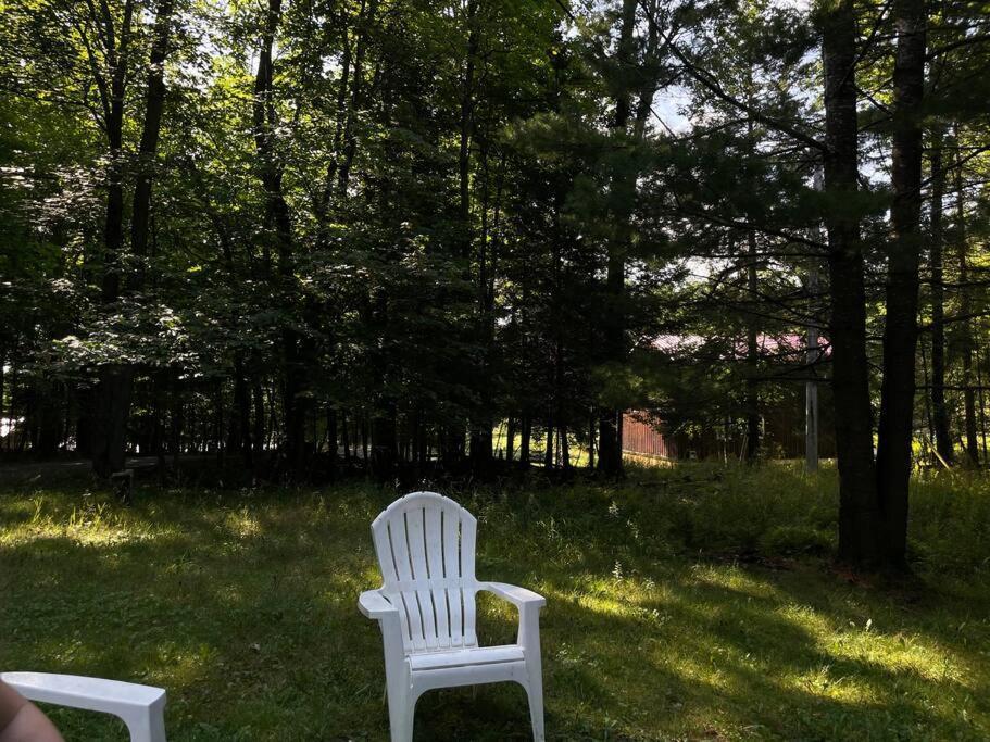 הוילה Dwight Muskoka Manor מראה חיצוני תמונה